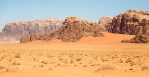 Desert Landscape