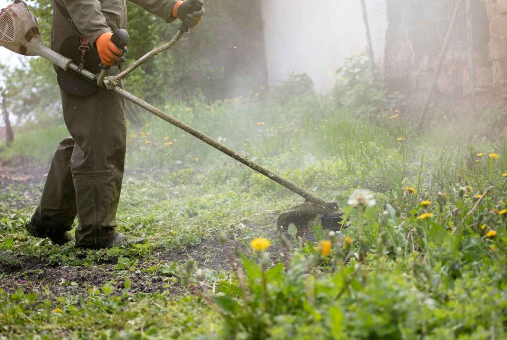 Clearing the Air: Methods for Faster Weed Clearance