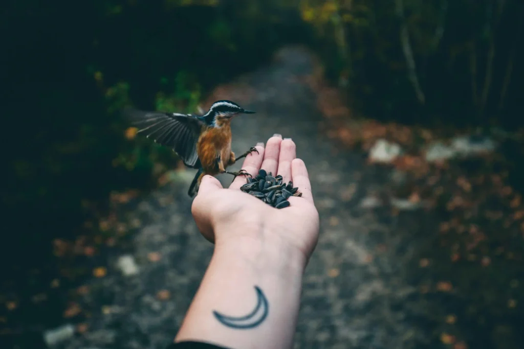 Moon Tattoo