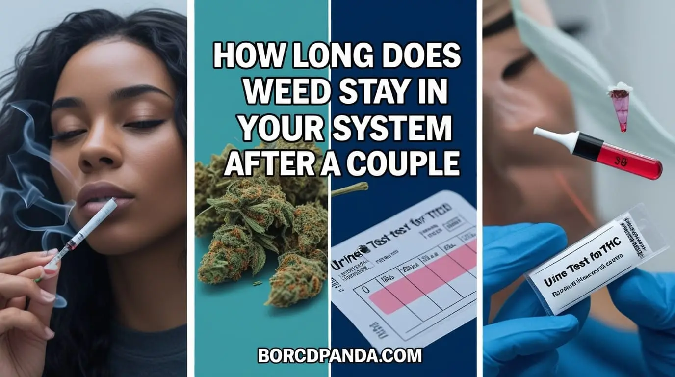 How Long Does Weed Stay in Your System After a Couple