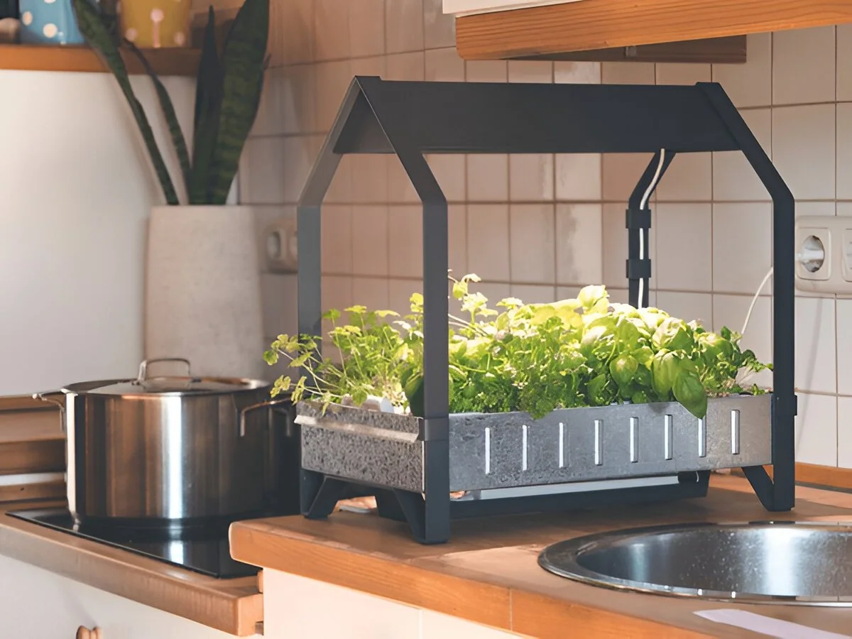 How to Create a Hydroponic Indoor Garden at Home