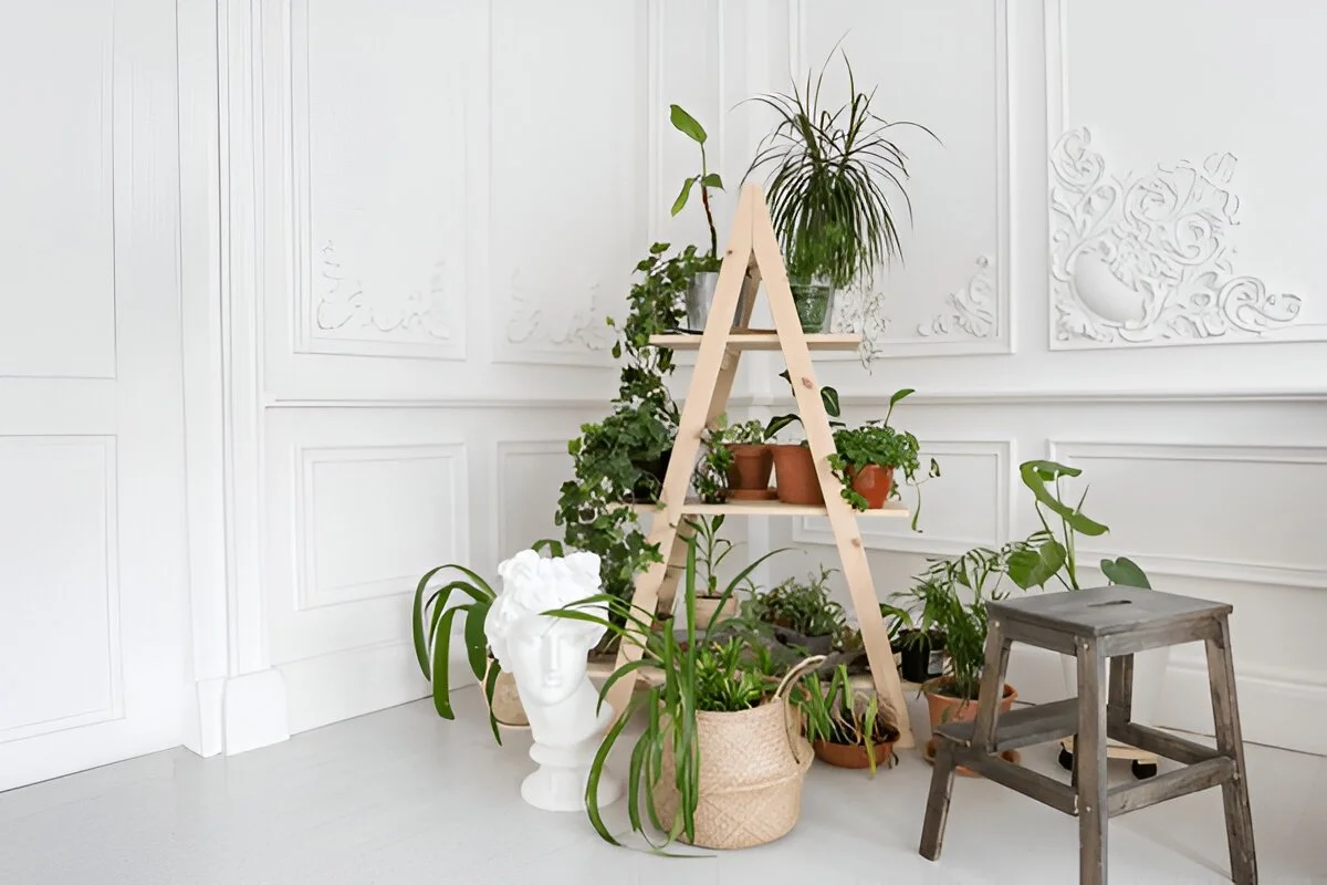 DIY Indoor Plant Stand