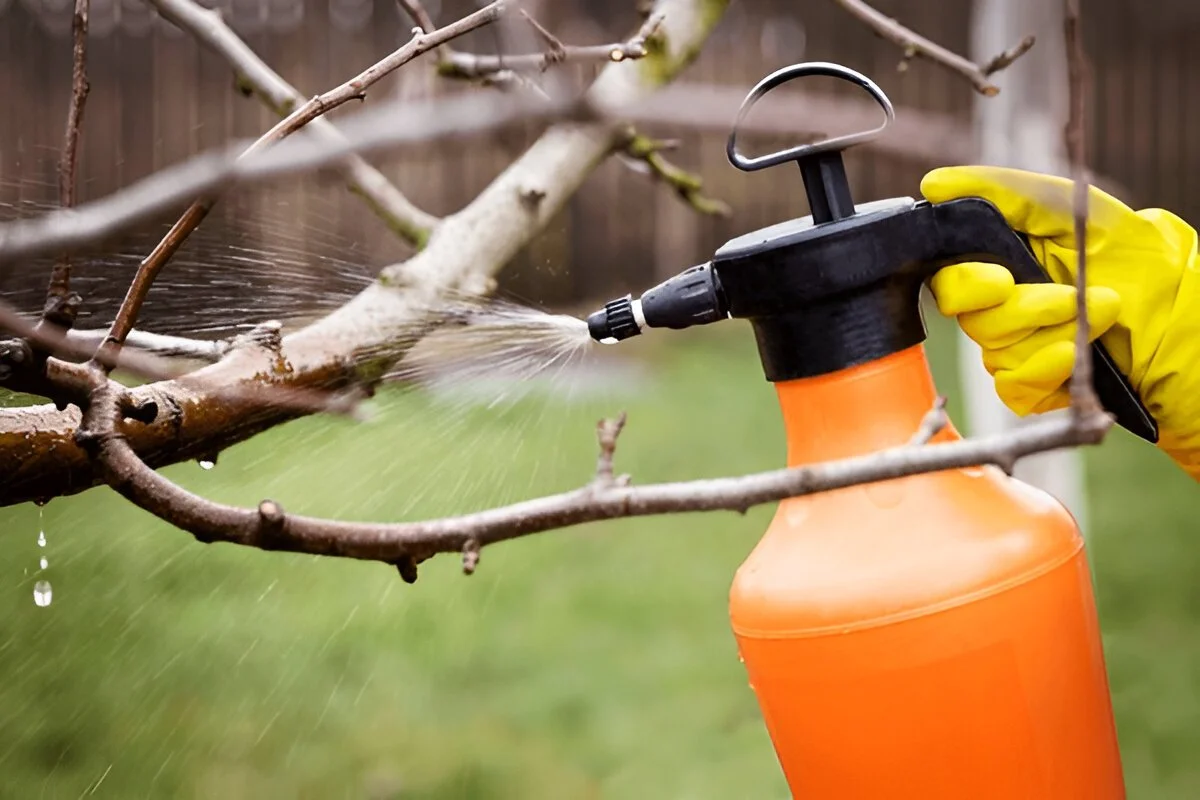 Protect Garden from Winter Pests 