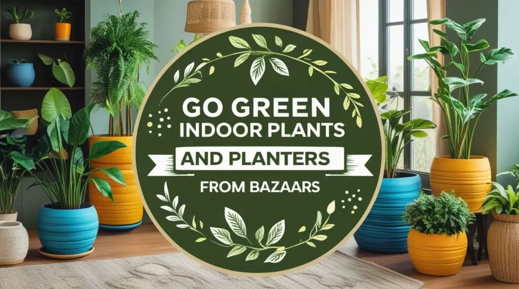 Go Green with Indoor Plants and Planters from Bazaars