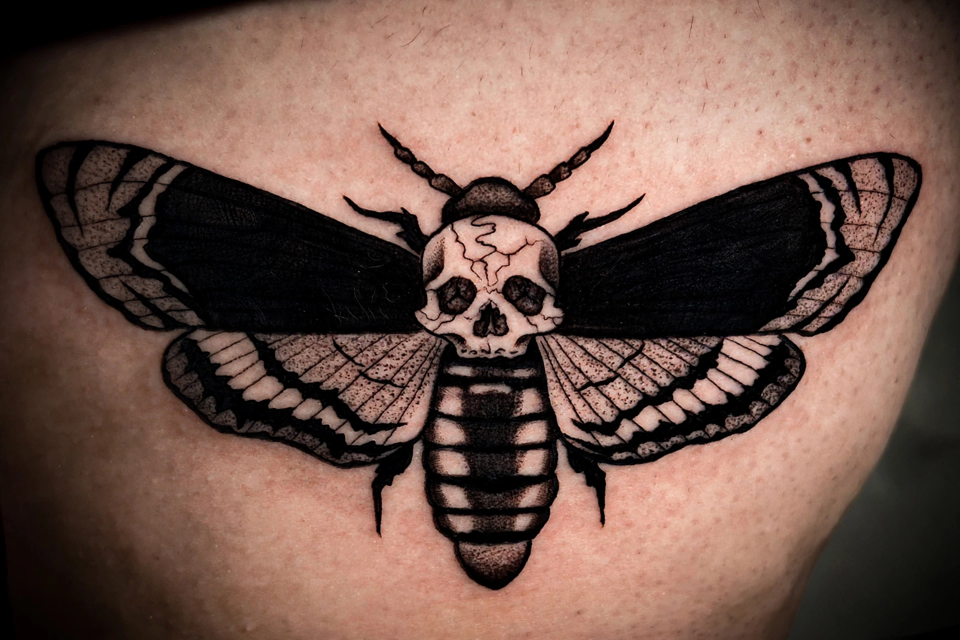 Blackwork death's-head hawkmoth tattoo close-up on skin
