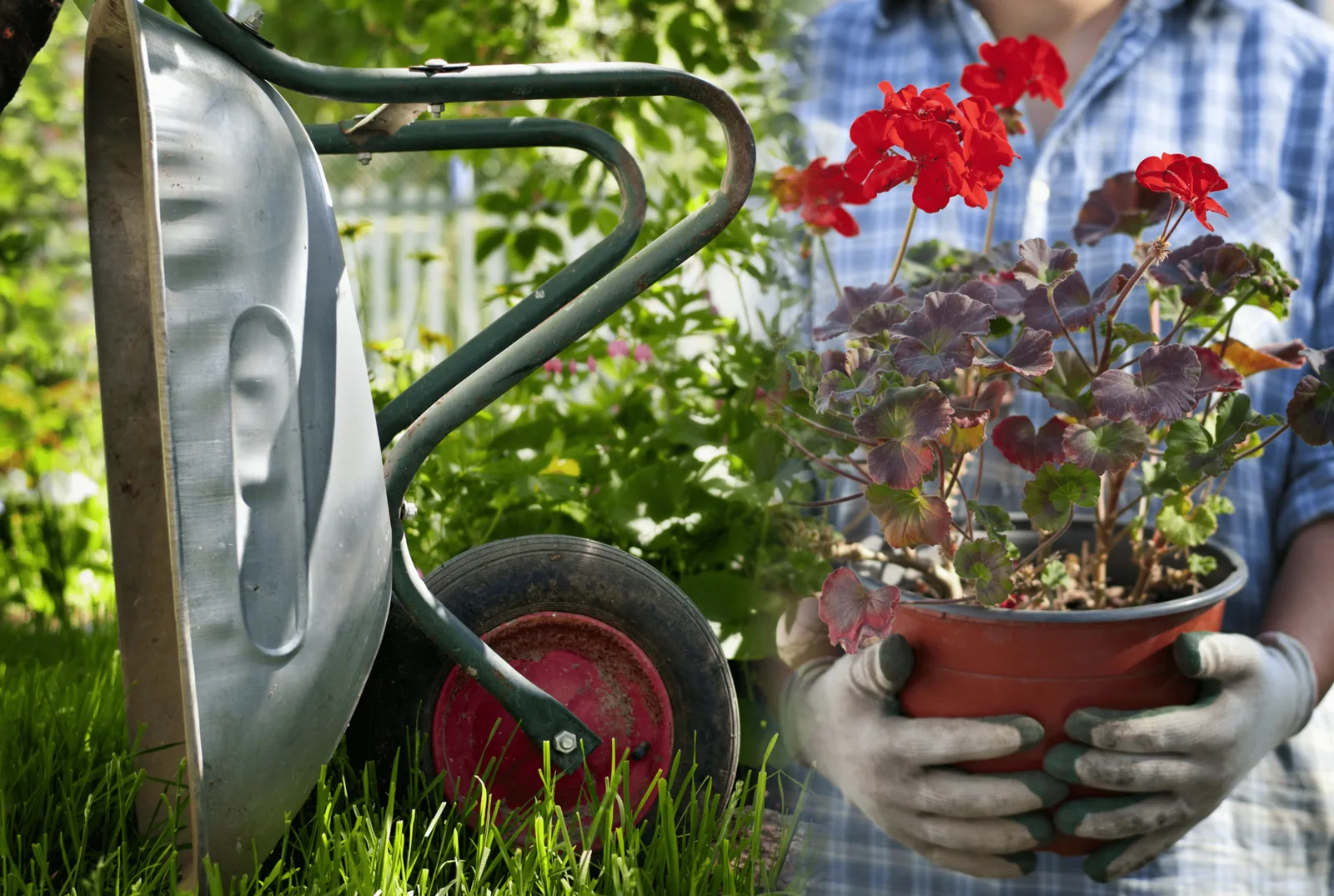Galvanized metal buckets and tin accents used as rustic planters